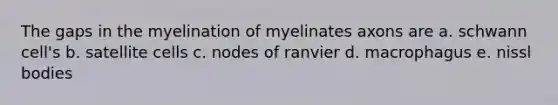 The gaps in the myelination of myelinates axons are a. schwann cell's b. satellite cells c. nodes of ranvier d. macrophagus e. nissl bodies