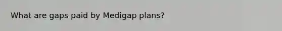 What are gaps paid by Medigap plans?