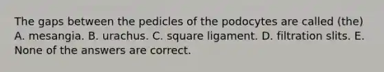 The gaps between the pedicles of the podocytes are called (the) A. mesangia. B. urachus. C. square ligament. D. filtration slits. E. None of the answers are correct.