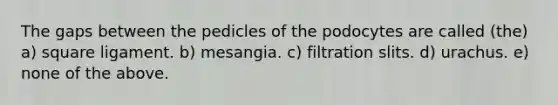 The gaps between the pedicles of the podocytes are called (the) a) square ligament. b) mesangia. c) filtration slits. d) urachus. e) none of the above.