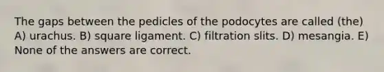 The gaps between the pedicles of the podocytes are called (the) A) urachus. B) square ligament. C) filtration slits. D) mesangia. E) None of the answers are correct.