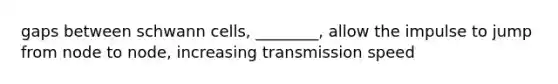 gaps between schwann cells, ________, allow the impulse to jump from node to node, increasing transmission speed