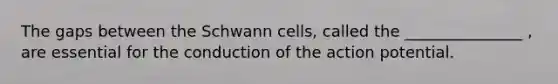 The gaps between the Schwann cells, called the _______________ , are essential for the conduction of the action potential.