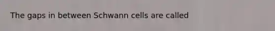 The gaps in between Schwann cells are called