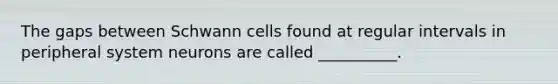 The gaps between Schwann cells found at regular intervals in peripheral system neurons are called __________.