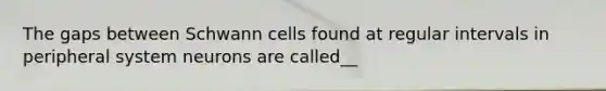 The gaps between Schwann cells found at regular intervals in peripheral system neurons are called__