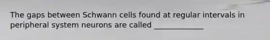 The gaps between Schwann cells found at regular intervals in peripheral system neurons are called _____________