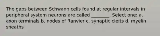 The gaps between Schwann cells found at regular intervals in peripheral system neurons are called ________. Select one: a. axon terminals b. nodes of Ranvier c. synaptic clefts d. myelin sheaths