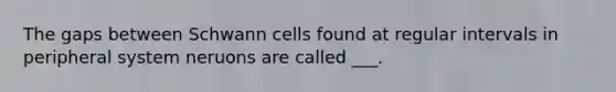 The gaps between Schwann cells found at regular intervals in peripheral system neruons are called ___.