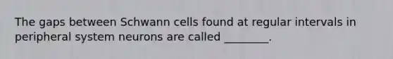 The gaps between Schwann cells found at regular intervals in peripheral system neurons are called ________.