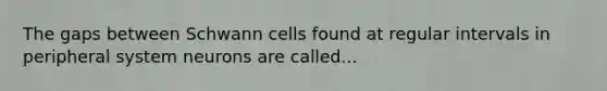 The gaps between Schwann cells found at regular intervals in peripheral system neurons are called...