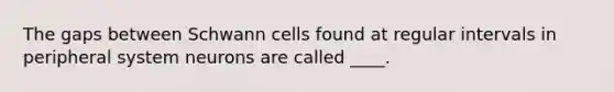 The gaps between Schwann cells found at regular intervals in peripheral system neurons are called ____.