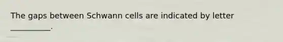 The gaps between Schwann cells are indicated by letter __________.