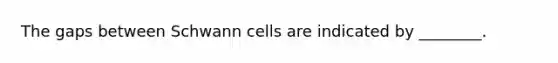 The gaps between Schwann cells are indicated by ________.