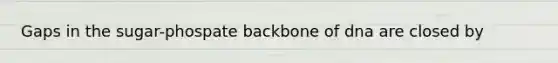 Gaps in the sugar-phospate backbone of dna are closed by