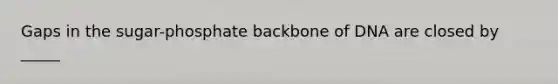 Gaps in the sugar-phosphate backbone of DNA are closed by _____