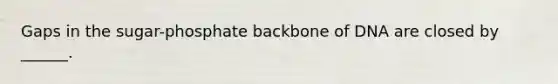 Gaps in the sugar-phosphate backbone of DNA are closed by ______.