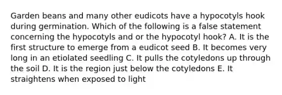 Garden beans and many other eudicots have a hypocotyls hook during germination. Which of the following is a false statement concerning the hypocotyls and or the hypocotyl hook? A. It is the first structure to emerge from a eudicot seed B. It becomes very long in an etiolated seedling C. It pulls the cotyledons up through the soil D. It is the region just below the cotyledons E. It straightens when exposed to light