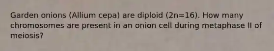 Garden onions (Allium cepa) are diploid (2n=16). How many chromosomes are present in an onion cell during metaphase II of meiosis?