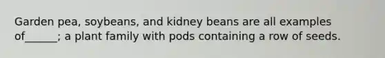 Garden pea, soybeans, and kidney beans are all examples of______; a plant family with pods containing a row of seeds.