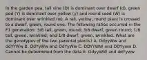 In the garden pea, tall vine (D) is dominant over dwarf (d), green pod (Y) is dominant over yellow (y) and round seed (W) is dominant over wrinkled (w). A tall, yellow, round plant is crossed to a dwarf, green, round one. The following ratios occurred in the F1 generation: 3/8 tall, green, round; 3/8 dwarf, green round; 1/8 tall, green, wrinkled; and 1/8 dwarf, green, wrinkled. What are the genotypes of the two parental plants? A. DdyyWw and ddYYWw B. DdYyWw and DdYyWw C. DDYYWW and DDYyww D. Cannot be determined from the data E. DdyyWW and ddYyww