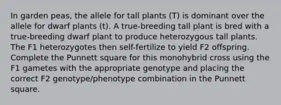 In garden peas, the allele for tall plants (T) is dominant over the allele for dwarf plants (t). A true-breeding tall plant is bred with a true-breeding dwarf plant to produce heterozygous tall plants. The F1 heterozygotes then self-fertilize to yield F2 offspring. Complete the Punnett square for this monohybrid cross using the F1 gametes with the appropriate genotype and placing the correct F2 genotype/phenotype combination in the Punnett square.