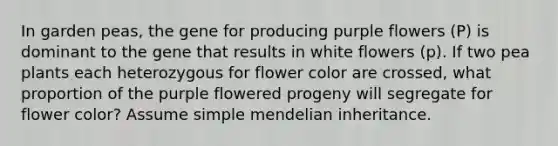 In garden peas, the gene for producing purple flowers (P) is dominant to the gene that results in white flowers (p). If two pea plants each heterozygous for flower color are crossed, what proportion of the purple flowered progeny will segregate for flower color? Assume simple mendelian inheritance.