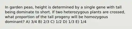 In garden peas, height is determined by a single gene with tall being dominate to short. If two heterozygous plants are crossed, what proportion of the tall progeny will be homozygous dominant? A) 3/4 B) 2/3 C) 1/2 D) 1/3 E) 1/4