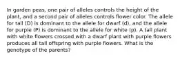 In garden peas, one pair of alleles controls the height of the plant, and a second pair of alleles controls flower color. The allele for tall (D) is dominant to the allele for dwarf (d), and the allele for purple (P) is dominant to the allele for white (p). A tall plant with white flowers crossed with a dwarf plant with purple flowers produces all tall offspring with purple flowers. What is the genotype of the parents?