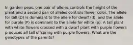 In garden peas, one pair of alleles controls the height of the plant and a second pair of alleles controls flower color. The allele for tall (D) is dominant to the allele for dwarf (d), and the allele for purple (P) is dominant to the allele for white (p). A tall plant with white flowers crossed with a dwarf plant with purple flowers produces all tall offspring with purple flowers. What are the genotypes of the parents?