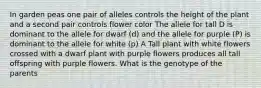 In garden peas one pair of alleles controls the height of the plant and a second pair controls flower color The allele for tall D is dominant to the allele for dwarf (d) and the allele for purple (P) is dominant to the allele for white (p) A Tall plant with white flowers crossed with a dwarf plant with purple flowers produces all tall offspring with purple flowers. What is the genotype of the parents