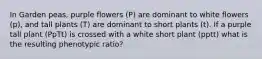 In Garden peas, purple flowers (P) are dominant to white flowers (p), and tall plants (T) are dominant to short plants (t). If a purple tall plant (PpTt) is crossed with a white short plant (pptt) what is the resulting phenotypic ratio?