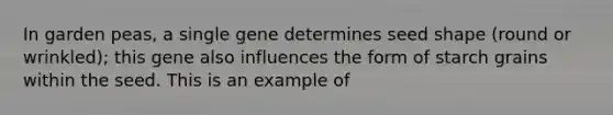 In garden peas, a single gene determines seed shape (round or wrinkled); this gene also influences the form of starch grains within the seed. This is an example of