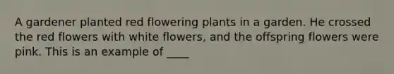 A gardener planted red flowering plants in a garden. He crossed the red flowers with white flowers, and the offspring flowers were pink. This is an example of ____