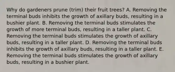 Why do gardeners prune (trim) their fruit trees? A. Removing the terminal buds inhibits the growth of axillary buds, resulting in a bushier plant. B. Removing the terminal buds stimulates the growth of more terminal buds, resulting in a taller plant. C. Removing the terminal buds stimulates the growth of axillary buds, resulting in a taller plant. D. Removing the terminal buds inhibits the growth of axillary buds, resulting in a taller plant. E. Removing the terminal buds stimulates the growth of axillary buds, resulting in a bushier plant.