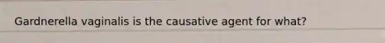 Gardnerella vaginalis is the causative agent for what?