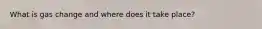 What is gas change and where does it take place?