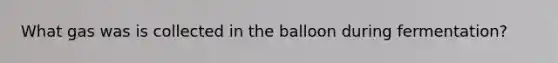 What gas was is collected in the balloon during fermentation?