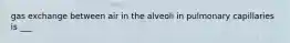 gas exchange between air in the alveoli in pulmonary capillaries is ___