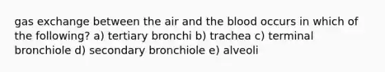 gas exchange between the air and the blood occurs in which of the following? a) tertiary bronchi b) trachea c) terminal bronchiole d) secondary bronchiole e) alveoli