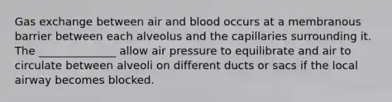 Gas exchange between air and blood occurs at a membranous barrier between each alveolus and the capillaries surrounding it. The ______________ allow air pressure to equilibrate and air to circulate between alveoli on different ducts or sacs if the local airway becomes blocked.