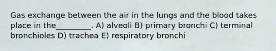 Gas exchange between the air in the lungs and the blood takes place in the_________. A) alveoli B) primary bronchi C) terminal bronchioles D) trachea E) respiratory bronchi