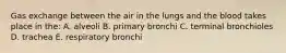 Gas exchange between the air in the lungs and the blood takes place in the: A. alveoli B. primary bronchi C. terminal bronchioles D. trachea E. respiratory bronchi