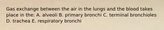 Gas exchange between the air in the lungs and the blood takes place in the: A. alveoli B. primary bronchi C. terminal bronchioles D. trachea E. respiratory bronchi