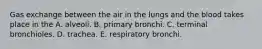 Gas exchange between the air in the lungs and the blood takes place in the A. alveoli. B. primary bronchi. C. terminal bronchioles. D. trachea. E. respiratory bronchi.