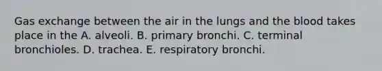 <a href='https://www.questionai.com/knowledge/kU8LNOksTA-gas-exchange' class='anchor-knowledge'>gas exchange</a> between the air in the lungs and <a href='https://www.questionai.com/knowledge/k7oXMfj7lk-the-blood' class='anchor-knowledge'>the blood</a> takes place in the A. alveoli. B. primary bronchi. C. terminal bronchioles. D. trachea. E. respiratory bronchi.