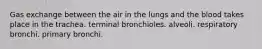 Gas exchange between the air in the lungs and the blood takes place in the trachea. terminal bronchioles. alveoli. respiratory bronchi. primary bronchi.