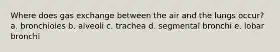 Where does <a href='https://www.questionai.com/knowledge/kU8LNOksTA-gas-exchange' class='anchor-knowledge'>gas exchange</a> between the air and the lungs occur? a. bronchioles b. alveoli c. trachea d. segmental bronchi e. lobar bronchi