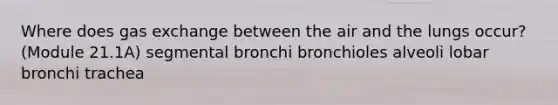 Where does gas exchange between the air and the lungs occur? (Module 21.1A) segmental bronchi bronchioles alveoli lobar bronchi trachea