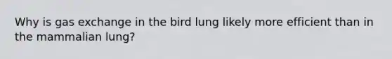 Why is gas exchange in the bird lung likely more efficient than in the mammalian lung?